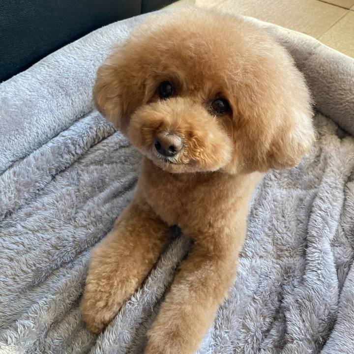 7b24d953 10ba 4199 9282 1926663473ac 1619525130288