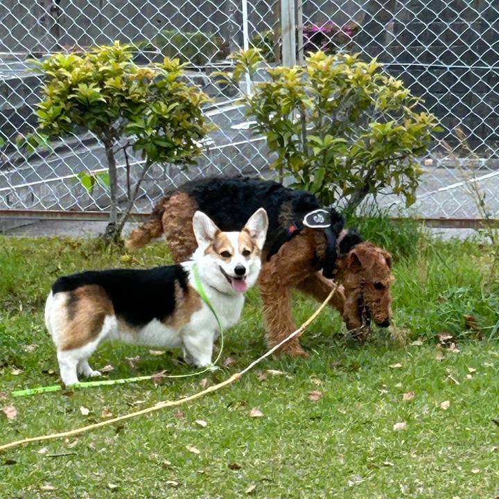 7b24f124 848f 4f8c 975b 15c84eb924d2 1776591548870