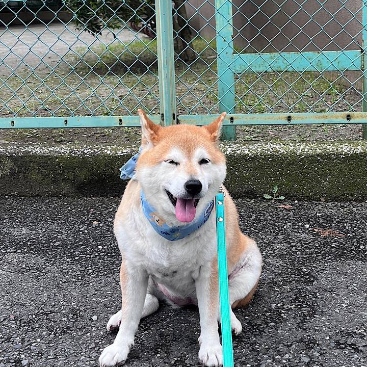 7b253a30 ff59 4d4a 9693 7481b4ec55ea 1721007626968