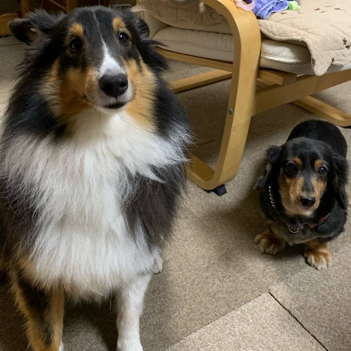 7b254394 688d 4fff a1bd f37163329a99 1603228004415