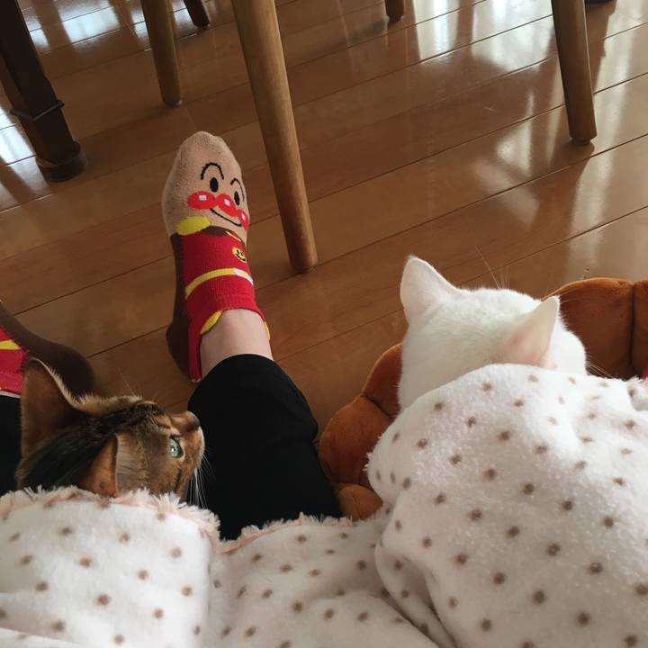 7b254b30 f19a 4321 b792 b531c11910be 1523084248787