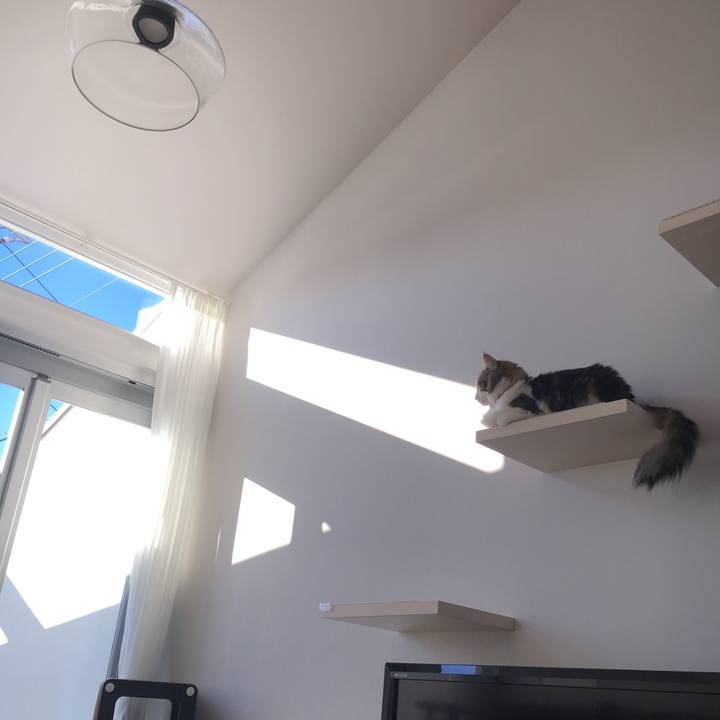 7b2573ec 871e 450a 99f7 b6e3068027e5 1514358984255