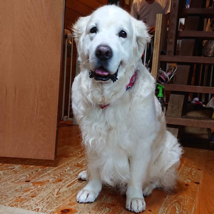 7b258581 2bce 4382 aa1b 91ff2abee93d 1655591568255