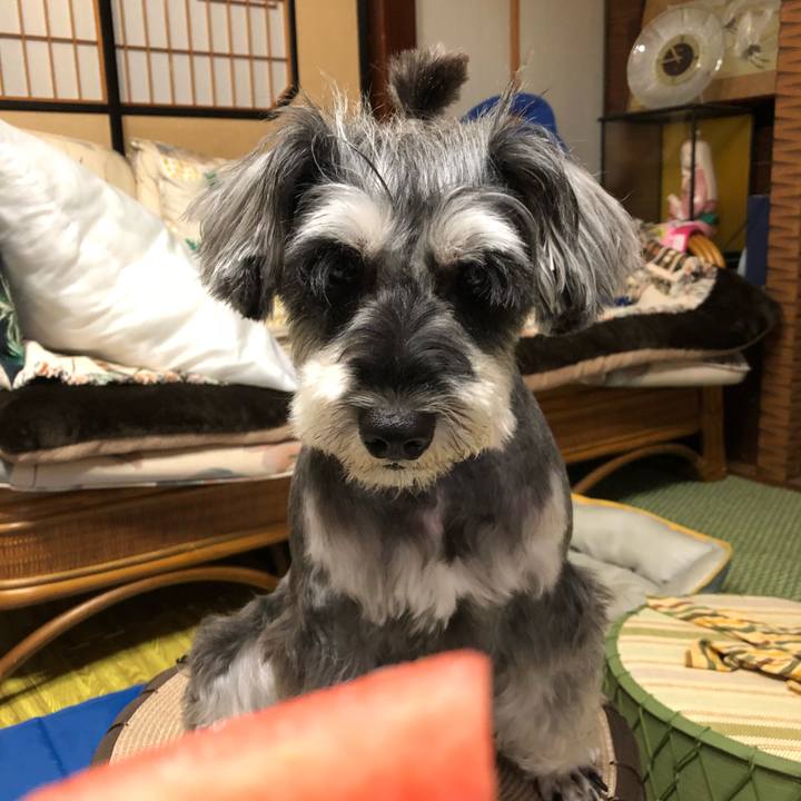 7b2585a8 890b 4680 bcd8 68a476e95e1f 1532597201617