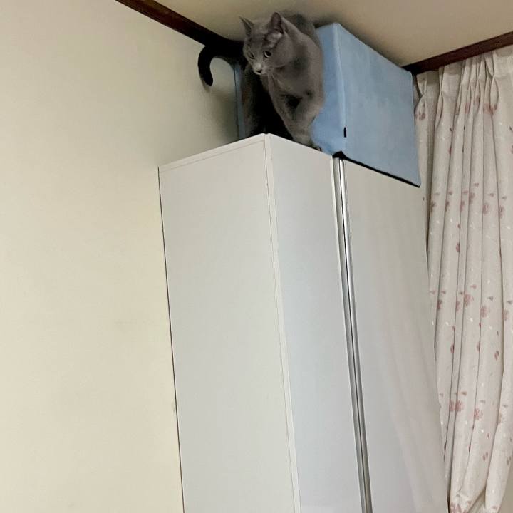 7b259c3d a028 440e b4da 43e3d1b04a87 1642496331264