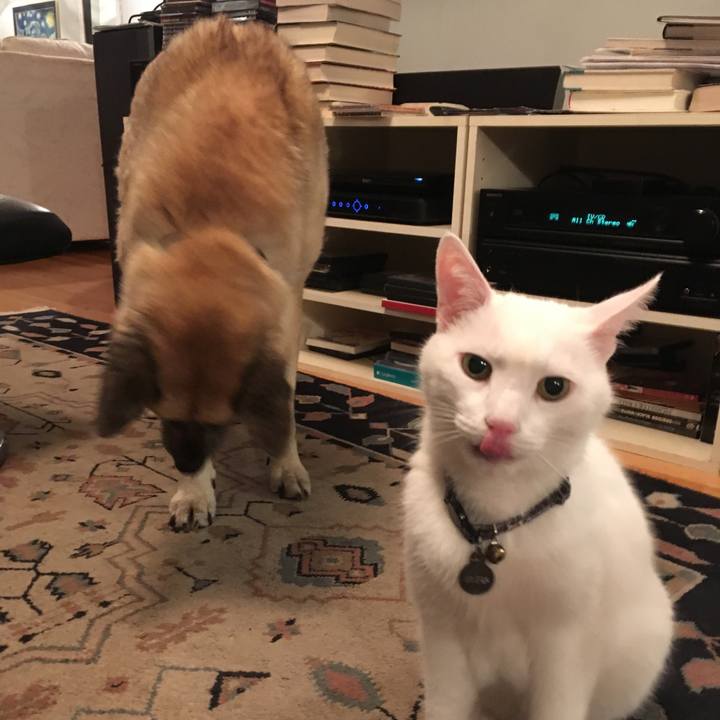 7b25ce11 2267 41cb 91b2 1b876d7dc384 1524021455013