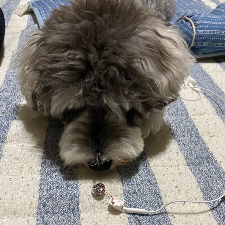 7b2611b2 af56 4f16 9528 b1eac466d3be 1594814234869