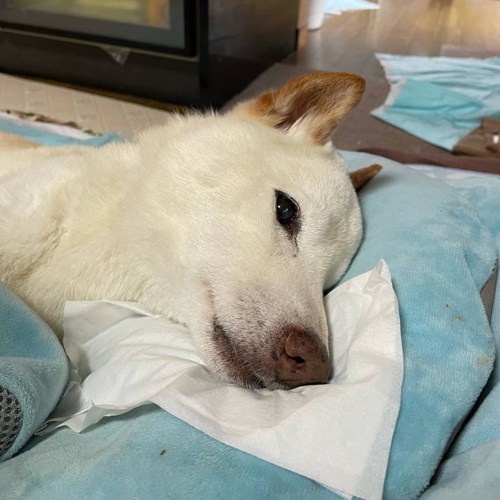 7b263b75 ea21 4d17 b4fd de6ff8e898db 1657938999576