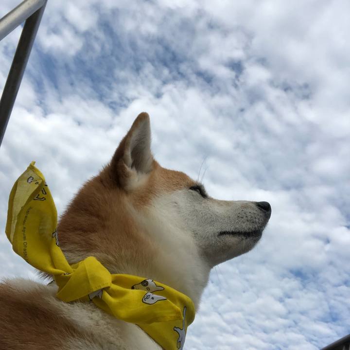 7b266476 e465 4743 87c1 5c68e3550b4f 1537658745114