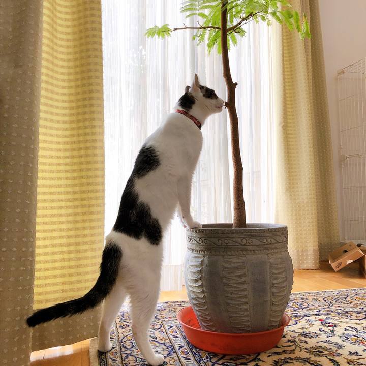 7b2676b5 ac84 436a 99e8 b20174256f7e 1630914159875