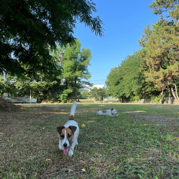 7b26775d 17c3 4fea 924e e44ad1affd74 1626649687019