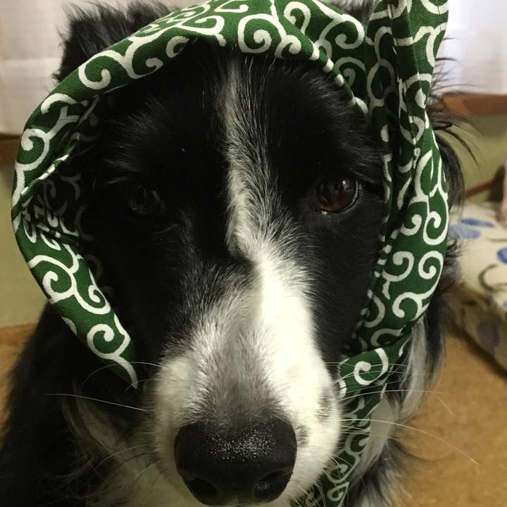 7b268986 22d9 47de 8c15 5d35229192c0 1510007670881