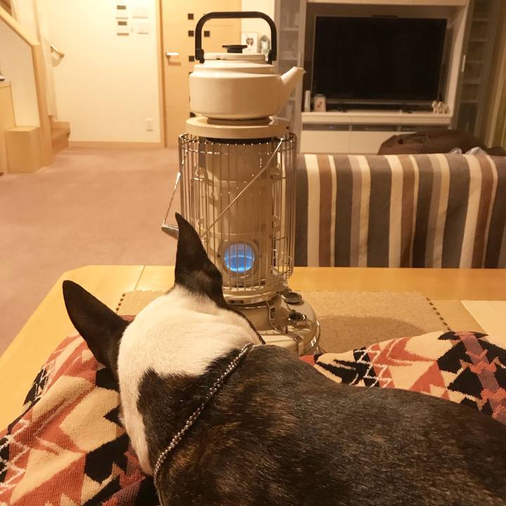 7b268fd9 0174 4d69 aa2c c367f7eb30c8 1510749428196