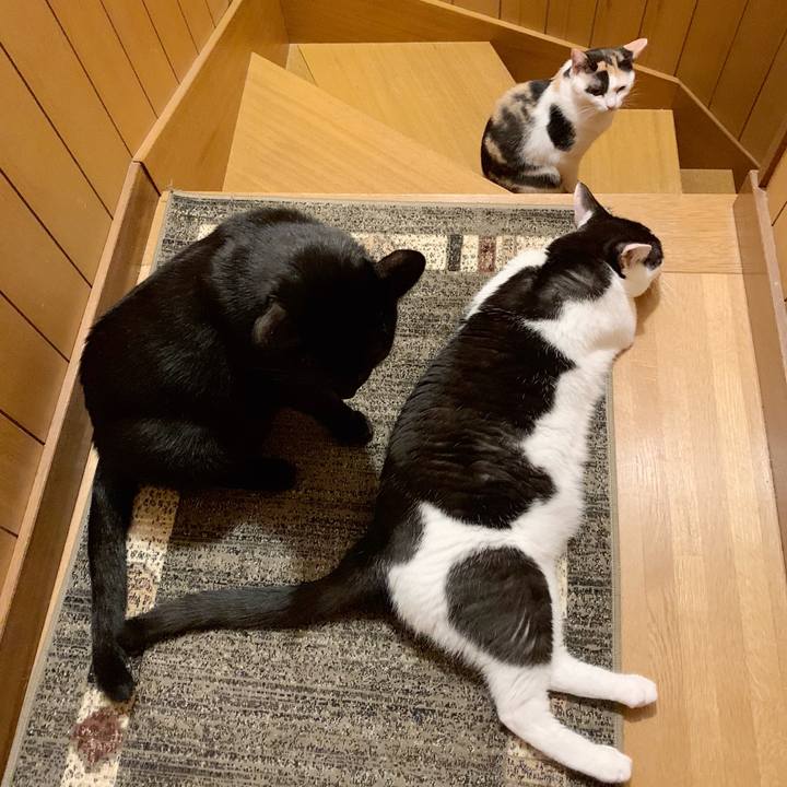 7b269ee2 e325 4497 986f 9ddf0b36e233 1539569976783