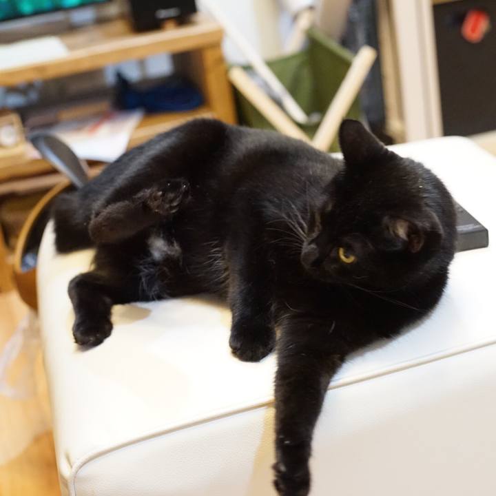 7b26a97c 9cef 45dd afc6 1e07701c369e 1530056286086