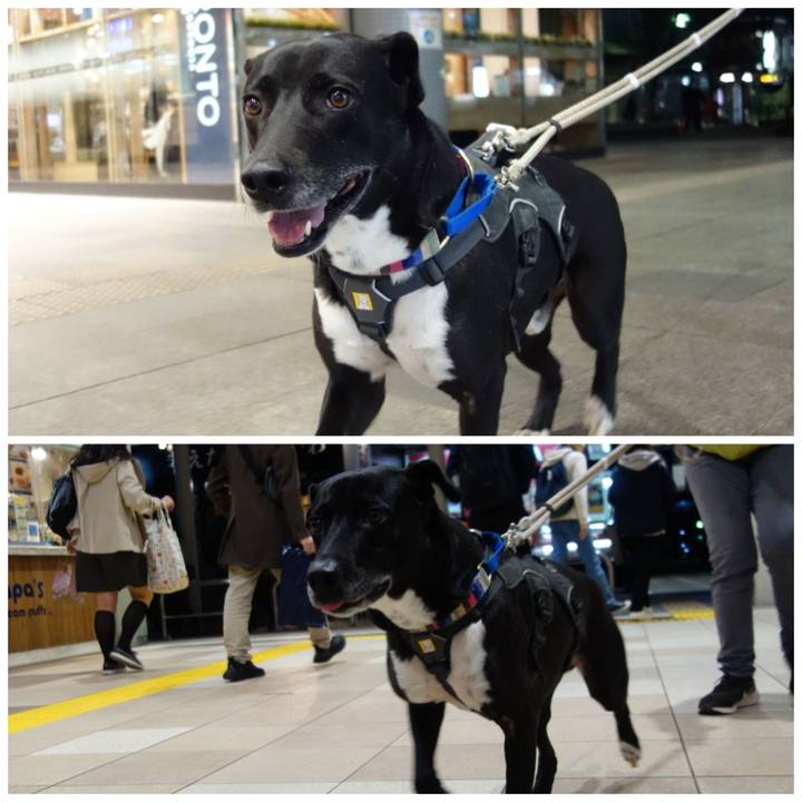 7b26bc96 ab1c 4670 a7ce 9b6fa7126c77 1647774555868