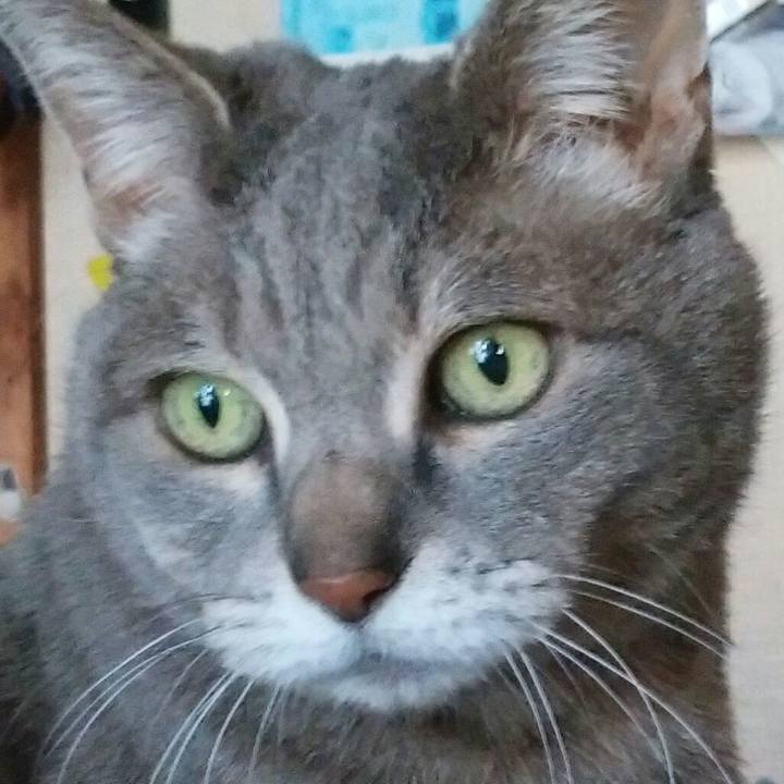 7b26c864 756b 4b15 b33c 5485305102ea 1555131170094