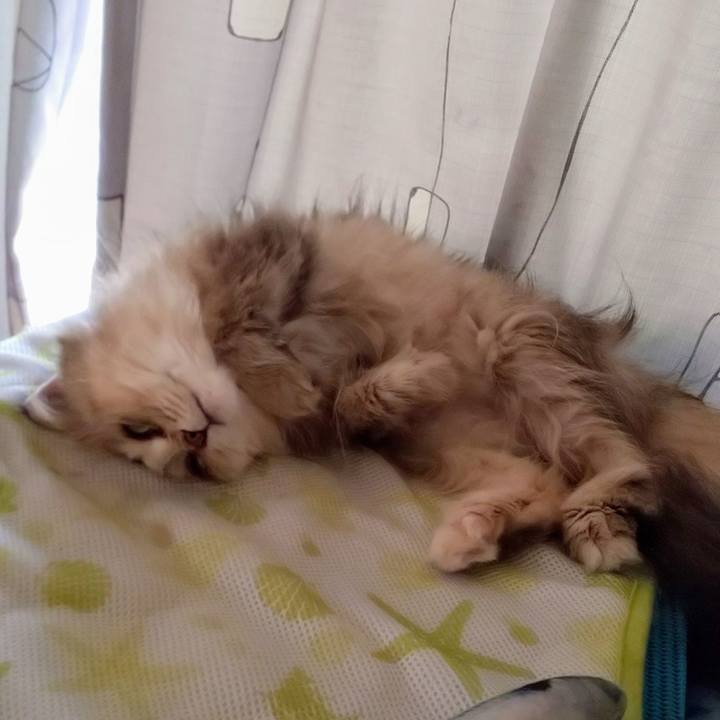 7b26daa6 02f4 492a 9679 a896028f2f49 1625537347939