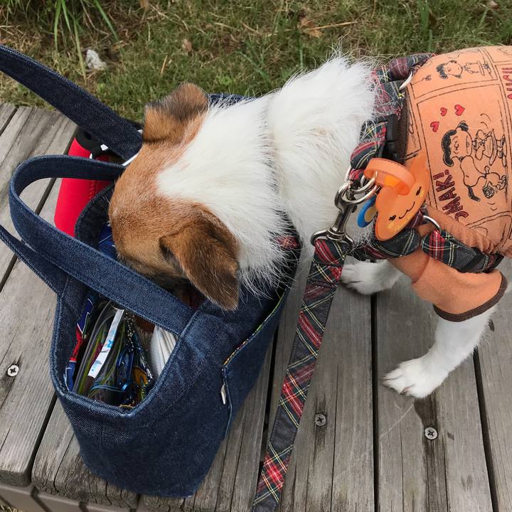 7b276e5e d20b 4708 9d91 f528ee3b352e 1571125805943