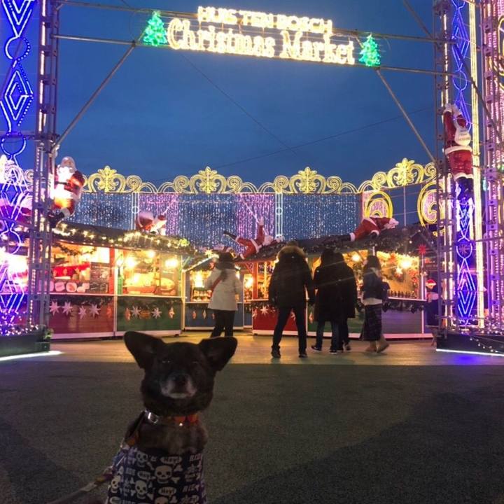 7b2779e6 70c1 420a 8b55 9e7e536cd7f4 1544890522378