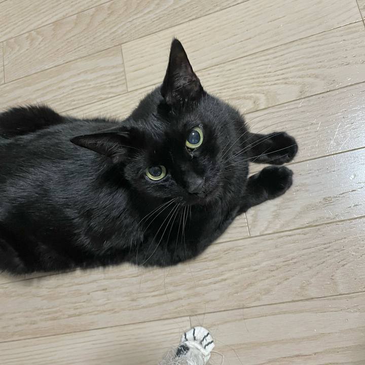 7b27d683 160e 4143 8adf eec7b09cd287 1717073081231