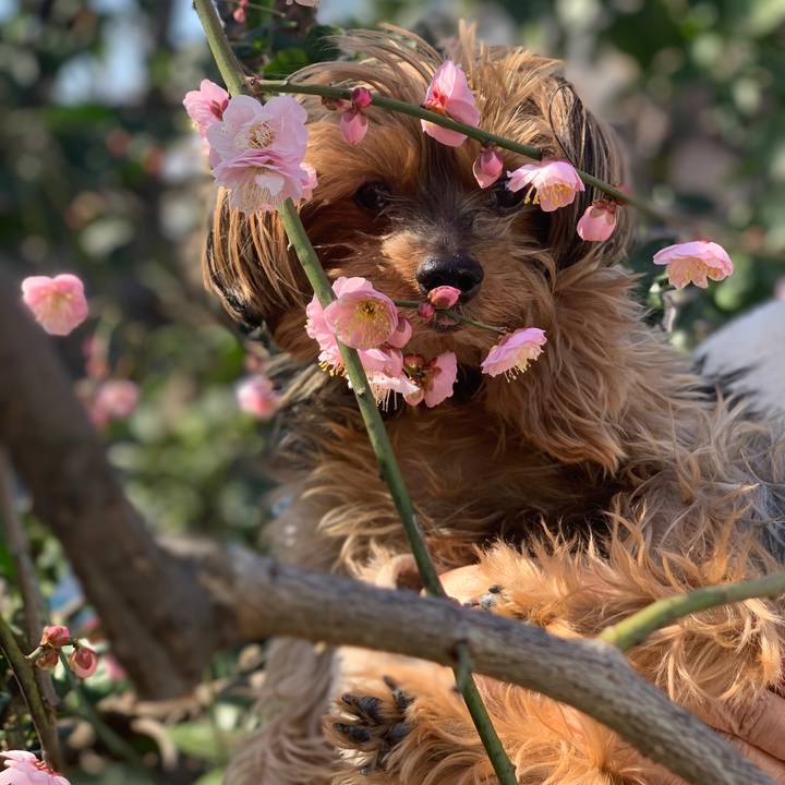 7b27e596 7154 49f9 9d73 1a5baae377fc 1612666147769