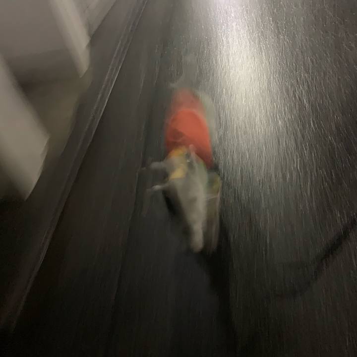 7b280fd0 9854 4fac 95a0 1c599fcb3a6e 1717933810322