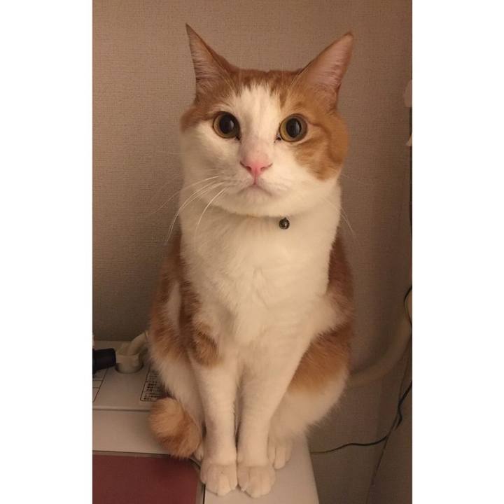 7b28872a 8fe7 485a 87de 0bbf036884d9 1584053434568