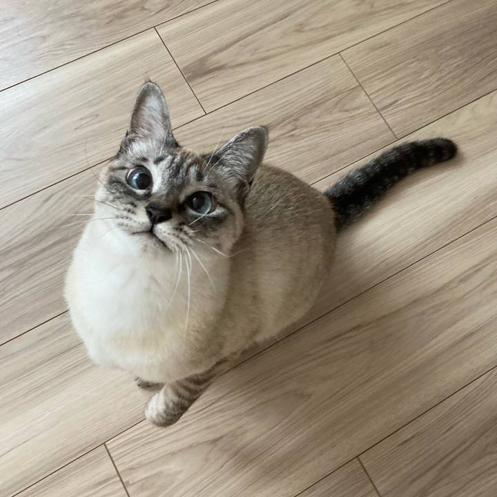 7b289a56 931f 46d0 8db5 9f0a7162f6c4 1642212843684