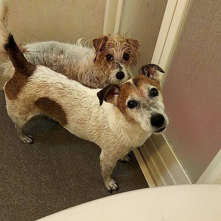 7b28abbd 67a9 47bb 805e 10c3226e0a7c 1544359058866