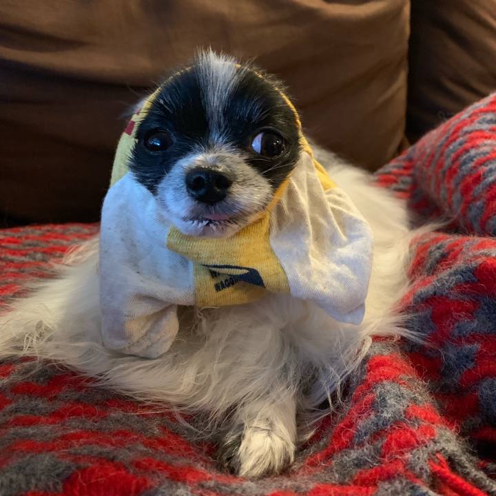 7b28fbfb 29f0 4cb1 b021 1da6f859c828 1570717341816