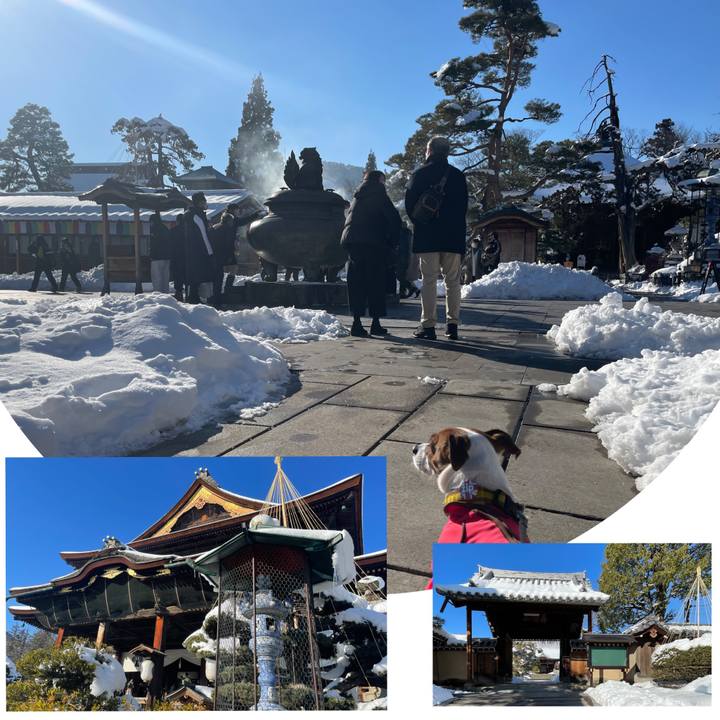 7b2916a1 7901 4c49 82b1 90f5f780a113 1642838122668