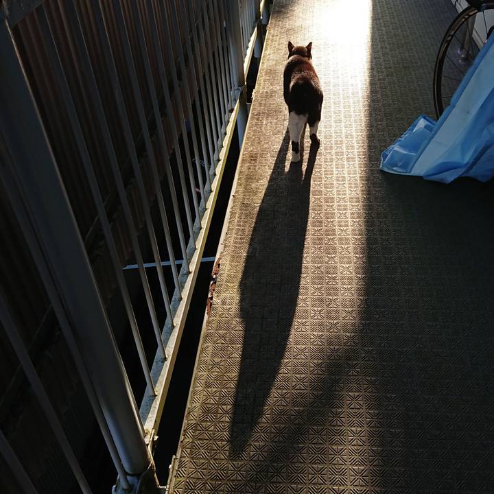 7b29373d 0fed 4e95 83b3 c74a2f626388 1633385531685