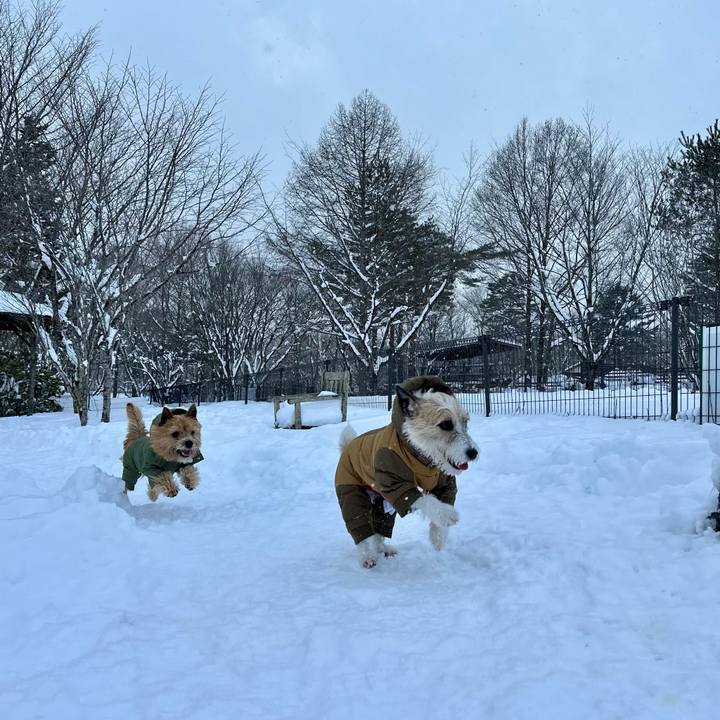 7b2941dd 63a8 4dc0 88b9 d0b83a1ef043 1738246822096