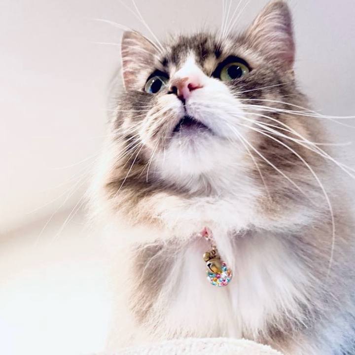 7b294e4a a1d9 4d09 b28c be8bc1ea0197 1753889985176