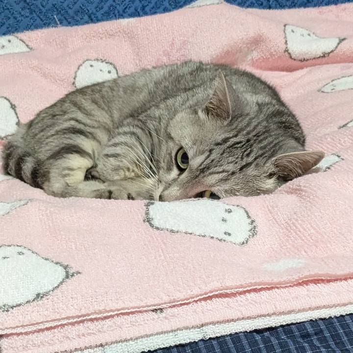 7b2986ec 3706 476a 9798 f5fcb985b6f6 1755184350459