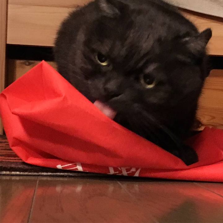 7b299c16 86d2 4a8c badd fda9ae41002a 1555258529106