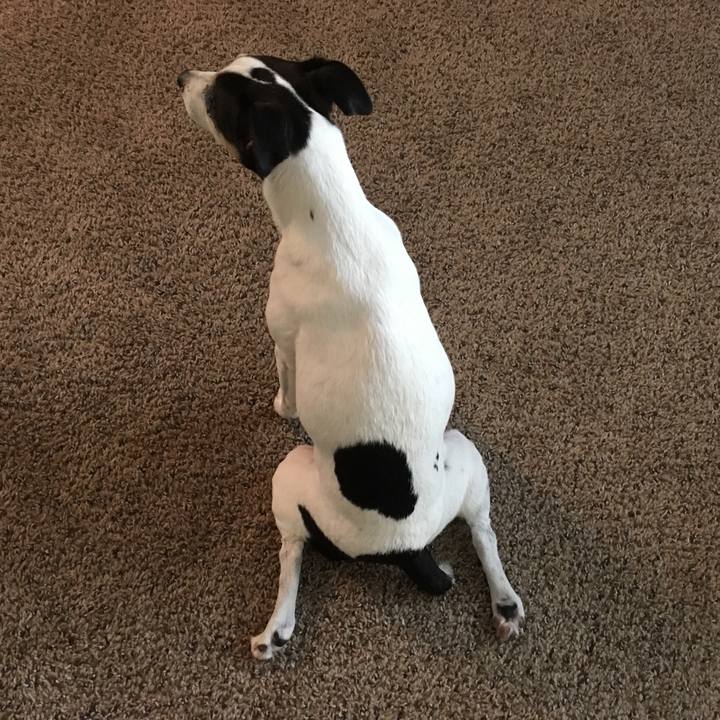 7b29cdb3 42f5 410d 87fc 229da2f1afda 1543538538863