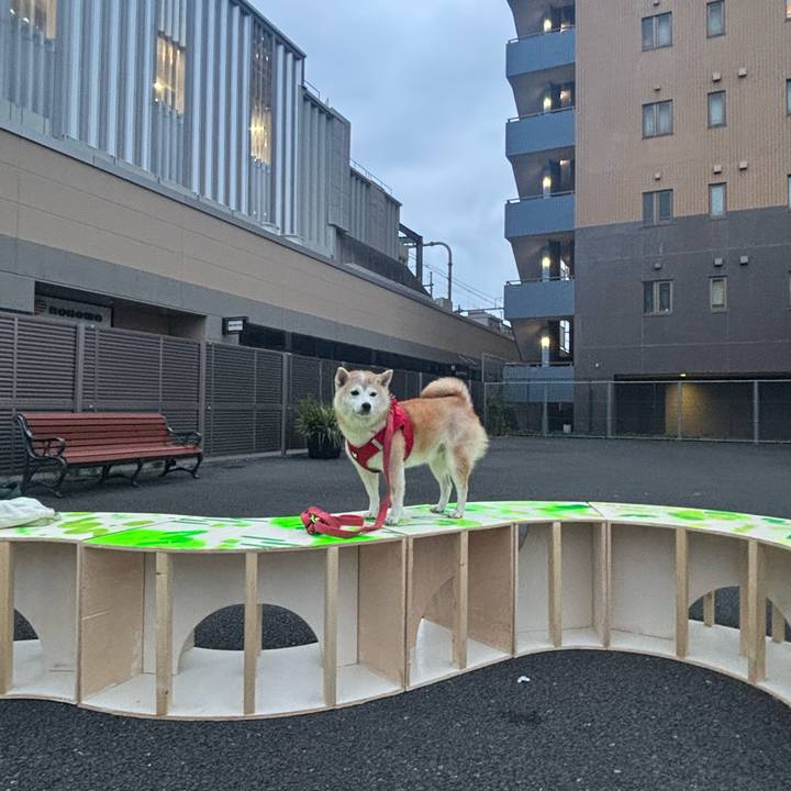 7b2a178a db24 4fd8 9214 3ff4132eabc6 1759836137099