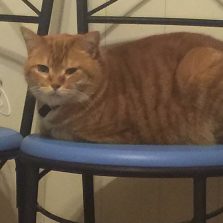 7b2a2182 74f5 49c6 bd66 d0129b918447 1548862109496