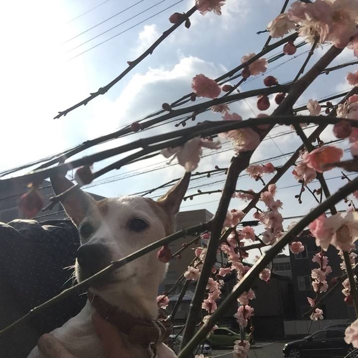 7b2a5fa4 3039 456e 8815 06ee465c39a9 1520146145884