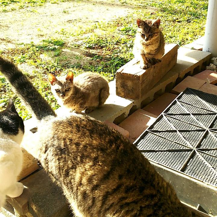 7b2a71ea 070d 4307 aa57 924aed3c46b4 1512878864282