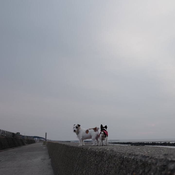 7b2a83c3 39ef 44f1 ad2a 83b1e2f8842b 1551325211661