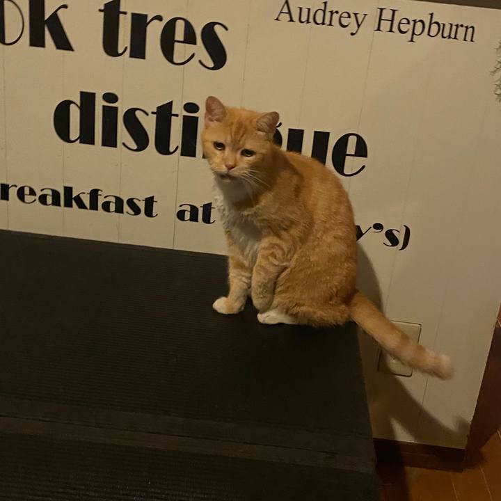 7b2a8934 a58b 4610 8493 248467799190 1597240883087