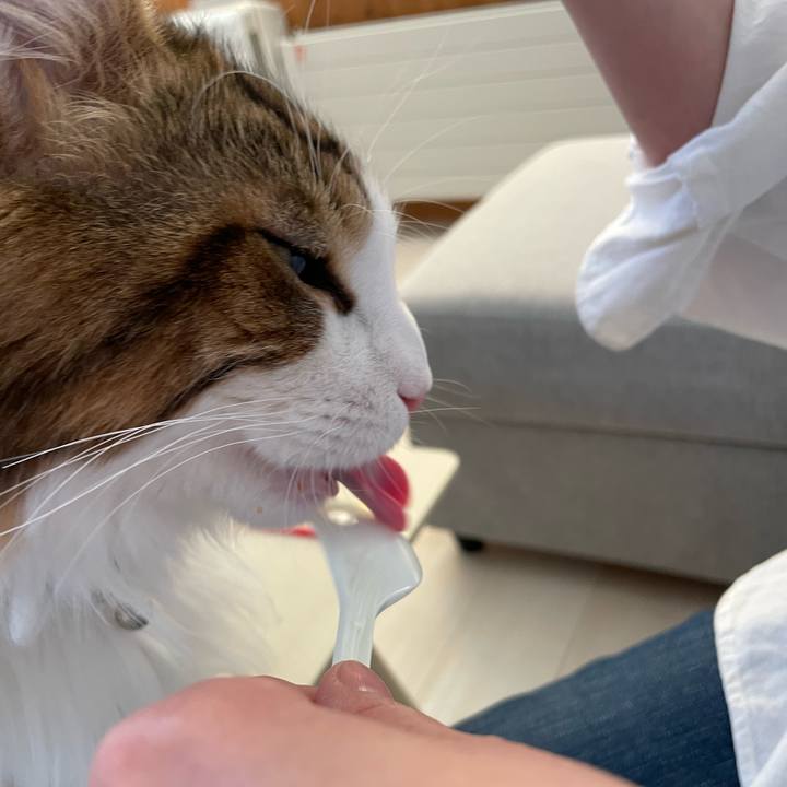 7b2a98c6 dc5c 482b a0a5 73290991de6b 1650782552732