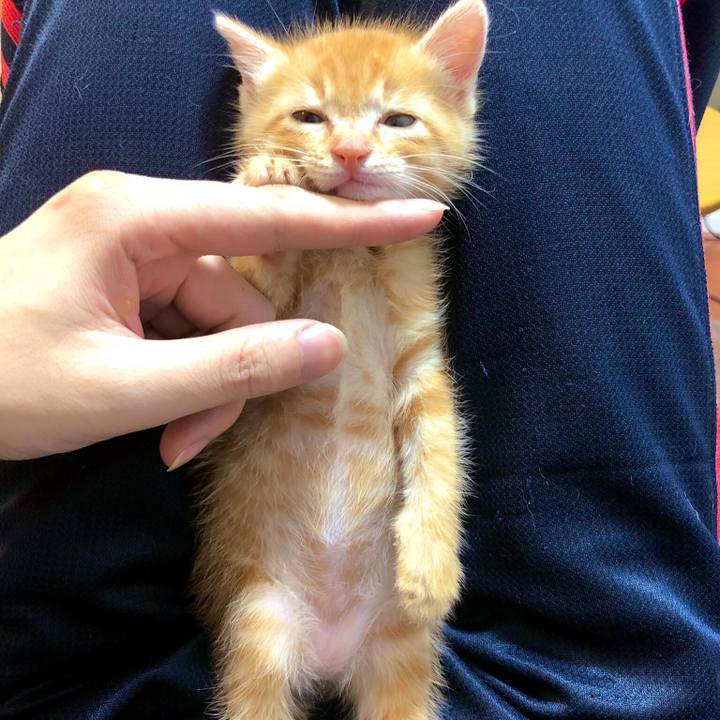 7b2afe06 c65f 449e 9a01 23f80a33d7db 1560767526018