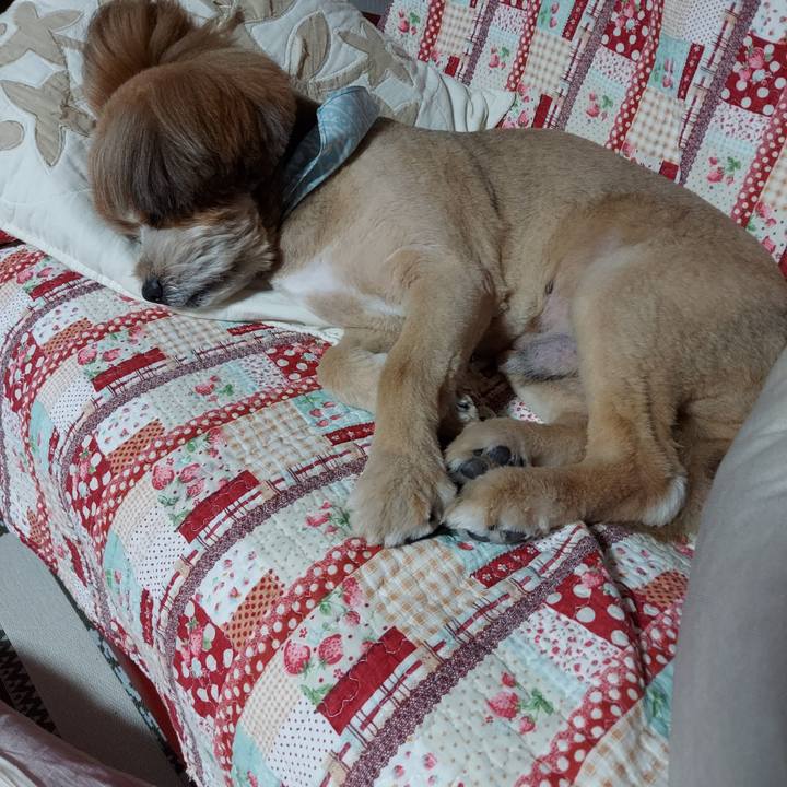 7b2b02e7 9643 4444 8f2c b5c6e3007f5c 1655648693903