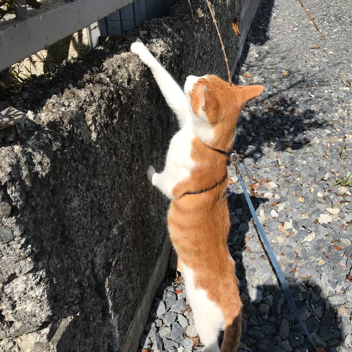 7b2b1f17 5bc9 4788 b3cc de8051b5dfac 1520827139641