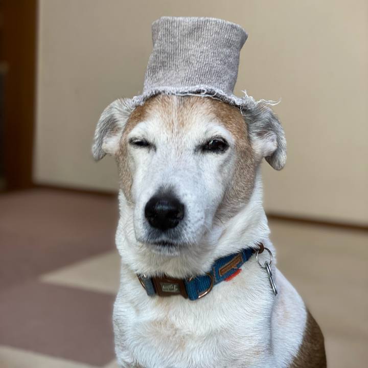 7b2b2566 518c 4ea0 b303 9a2e03056130 1644632531453