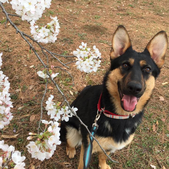 7b2b31c1 3c80 4b83 8d53 d4622b56e7dd 1522141614299